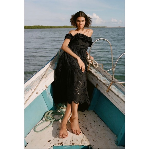 ZARA NWT BLOGGERS FAV EMBROIDERED MIDI DRESS 🌸 - Picture 4 of 11